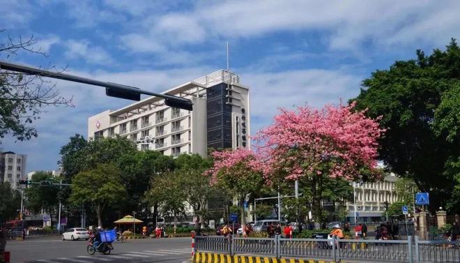 2024碧桂园云樾金沙最新售楼处(官方)官方介绍-佛山房天下(图6) 2024碧桂园云樾金沙最新售楼处(官方)官方介绍-佛山房天下(图6)